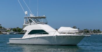 43 cabo yachts for sale