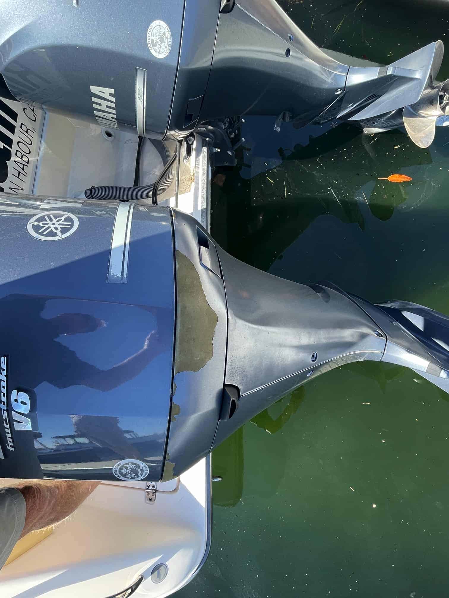 31Pursuit315Offshoreforsale0 West Coast Yachts